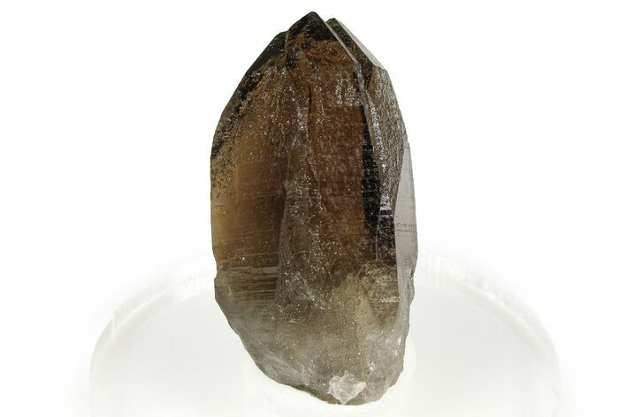 Gemmy Smoky Quartz Crystal - Malawi #373575